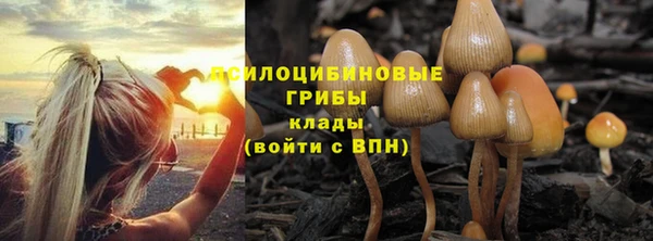 Альфа ПВП Алзамай